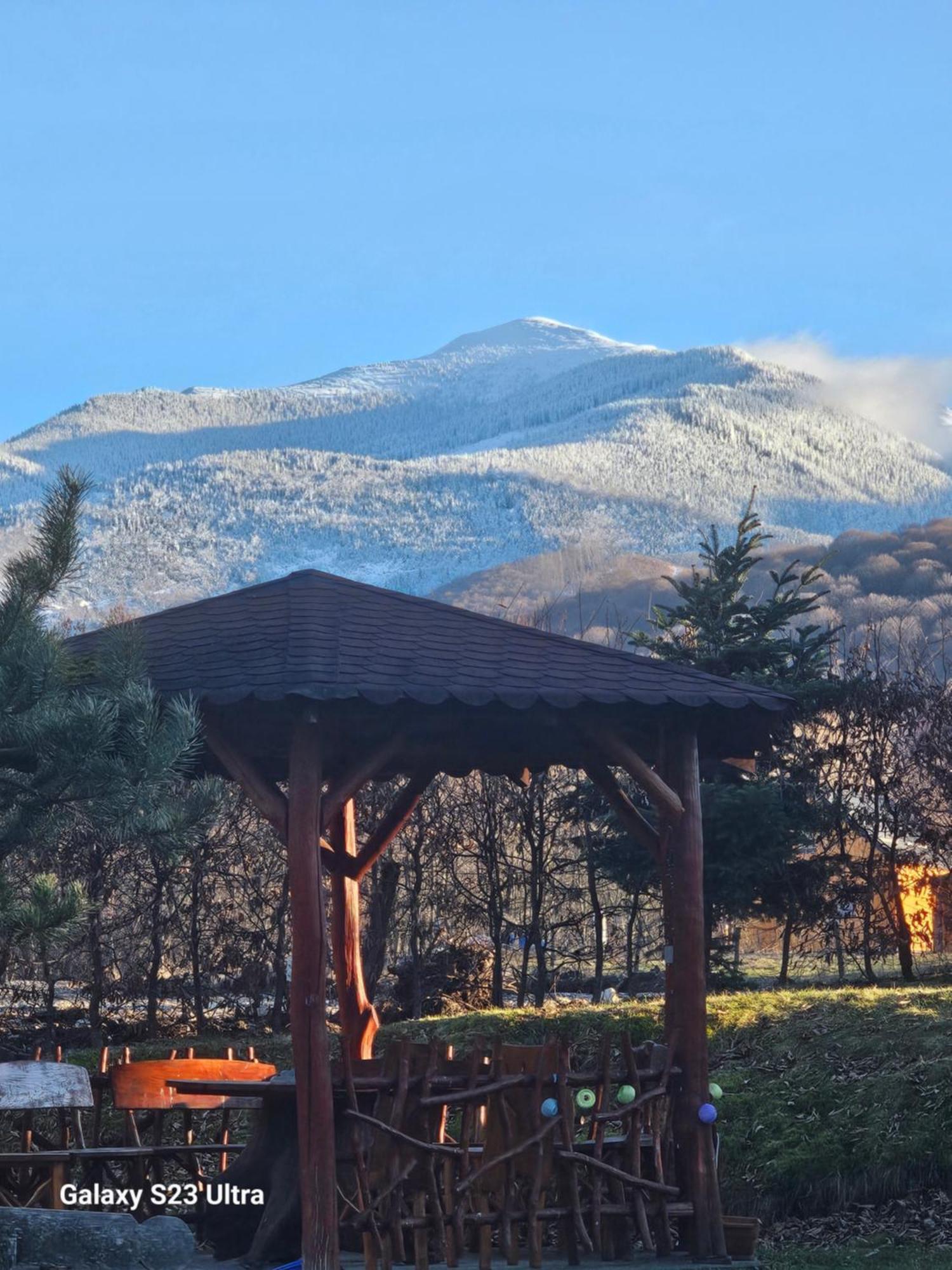 Casa De Vacanta Marin Arpasu de Sus Экстерьер фото