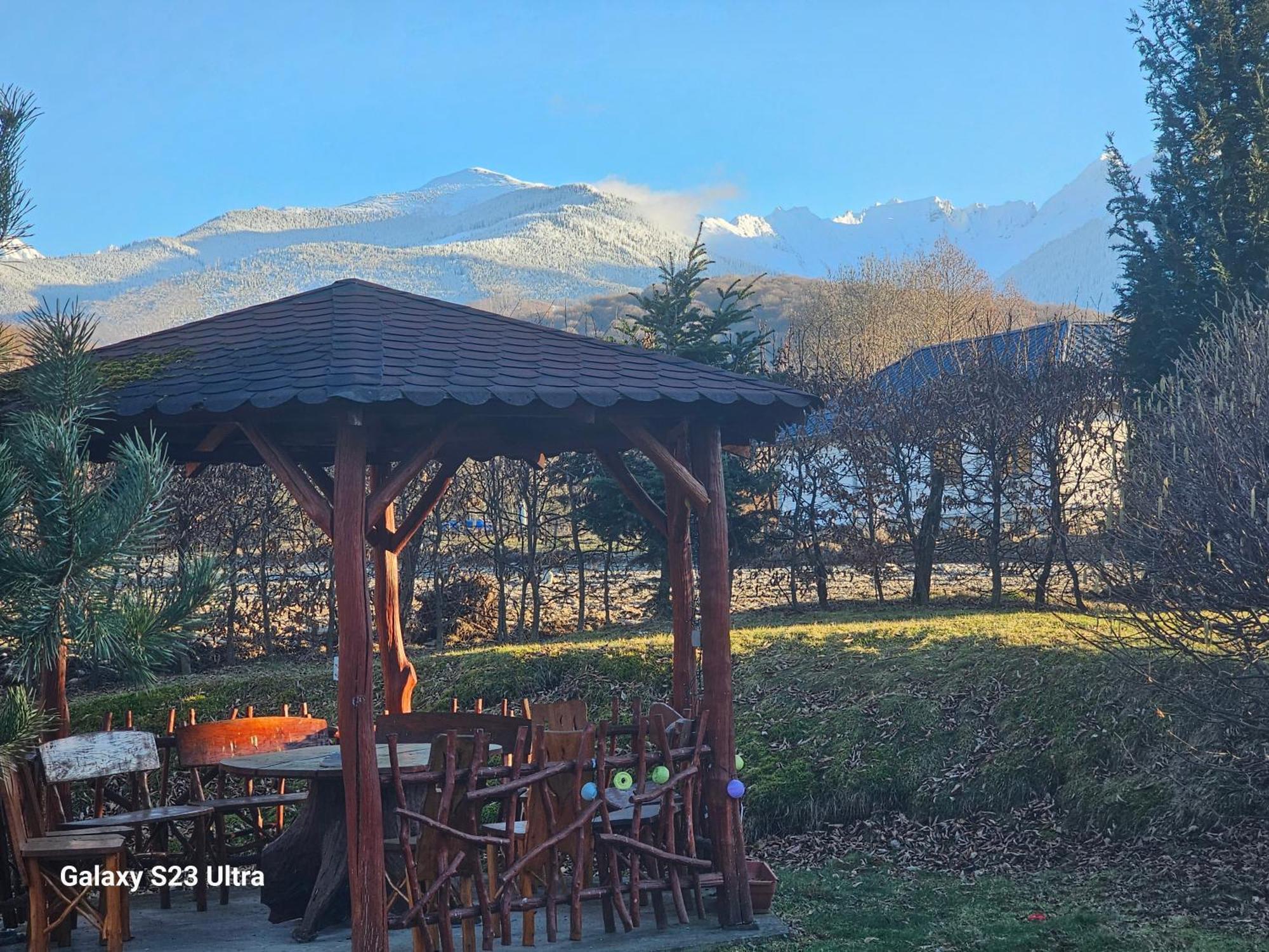 Casa De Vacanta Marin Arpasu de Sus Экстерьер фото