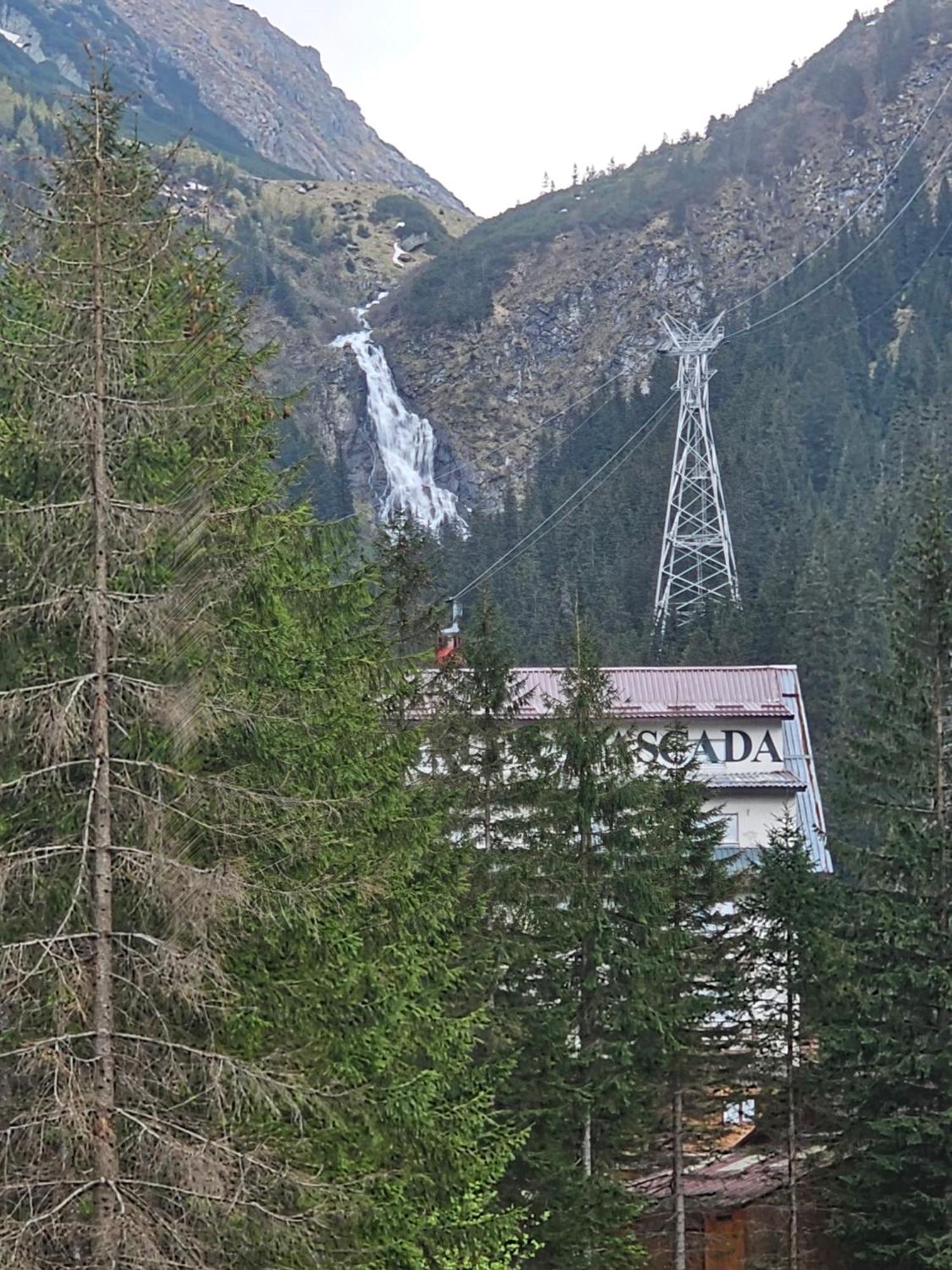 Casa De Vacanta Marin Arpasu de Sus Экстерьер фото