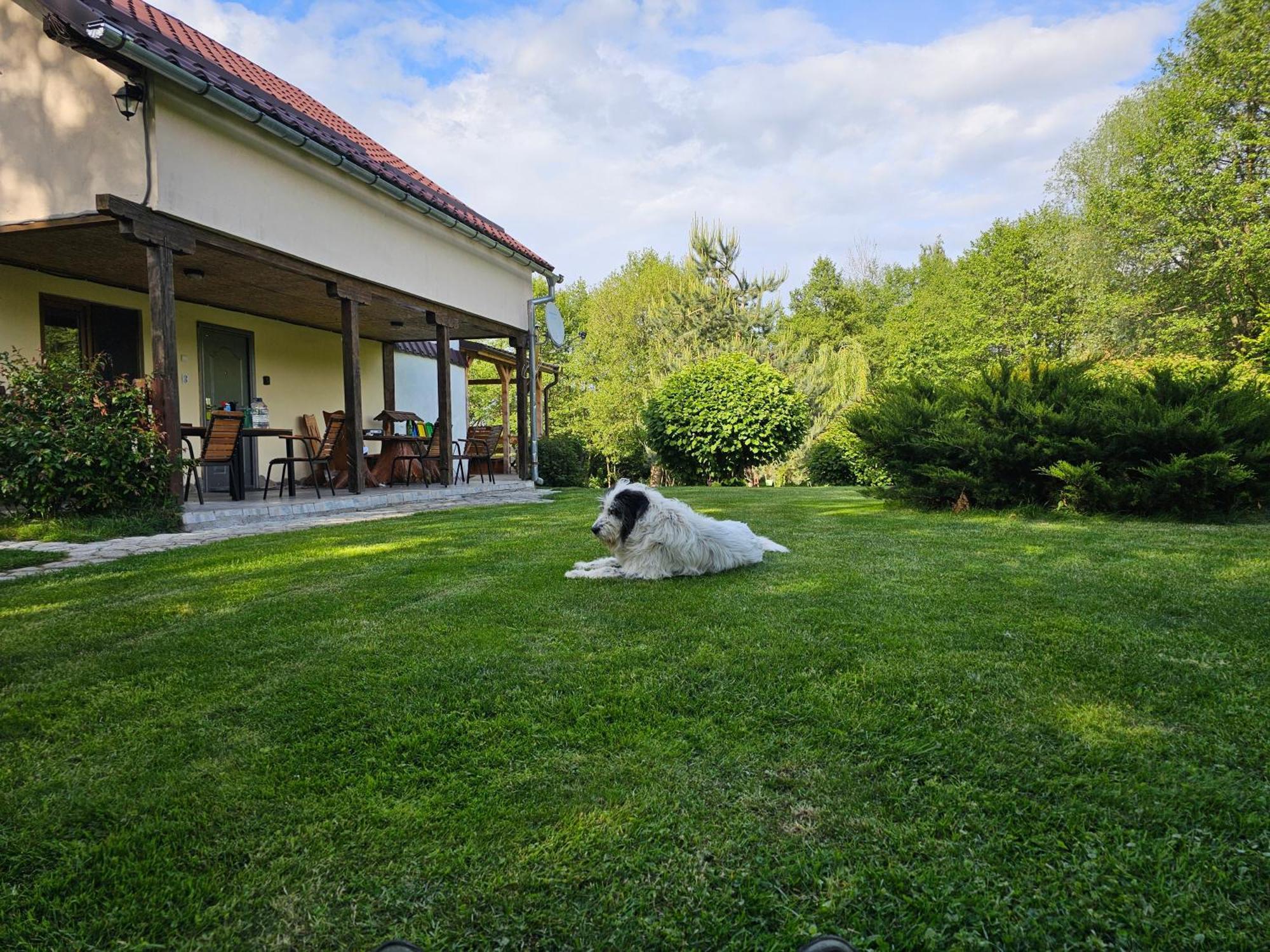 Casa De Vacanta Marin Arpasu de Sus Экстерьер фото