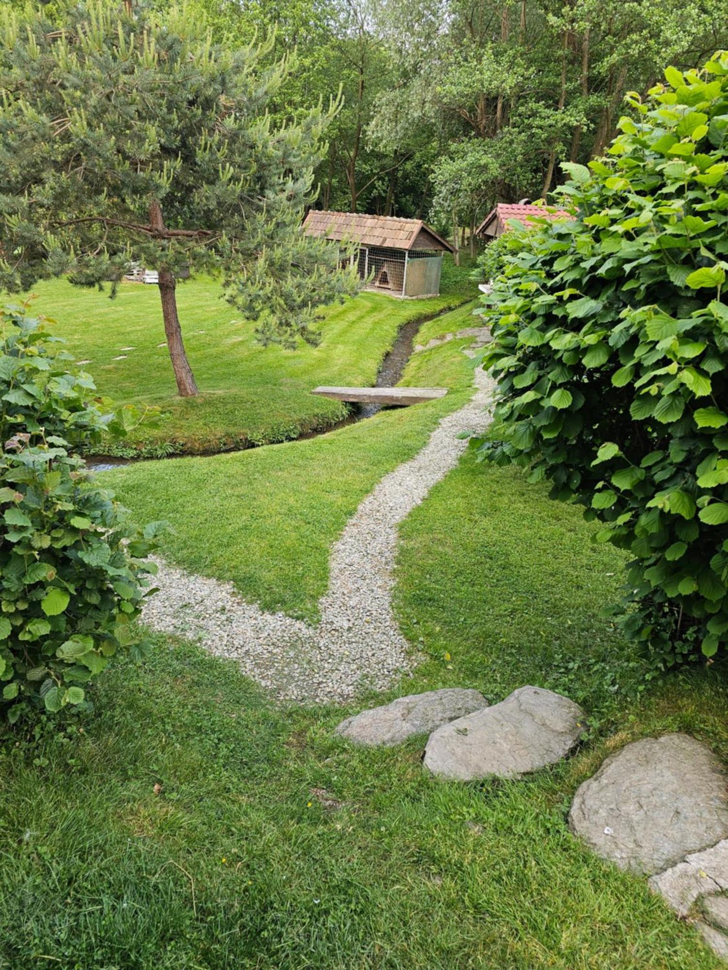 Casa De Vacanta Marin Arpasu de Sus Экстерьер фото