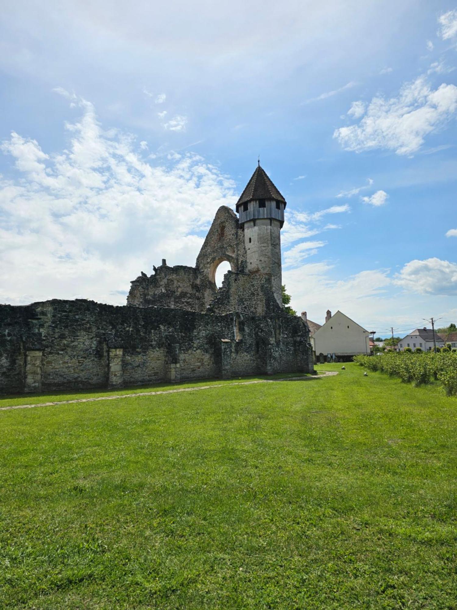 Casa De Vacanta Marin Arpasu de Sus Экстерьер фото