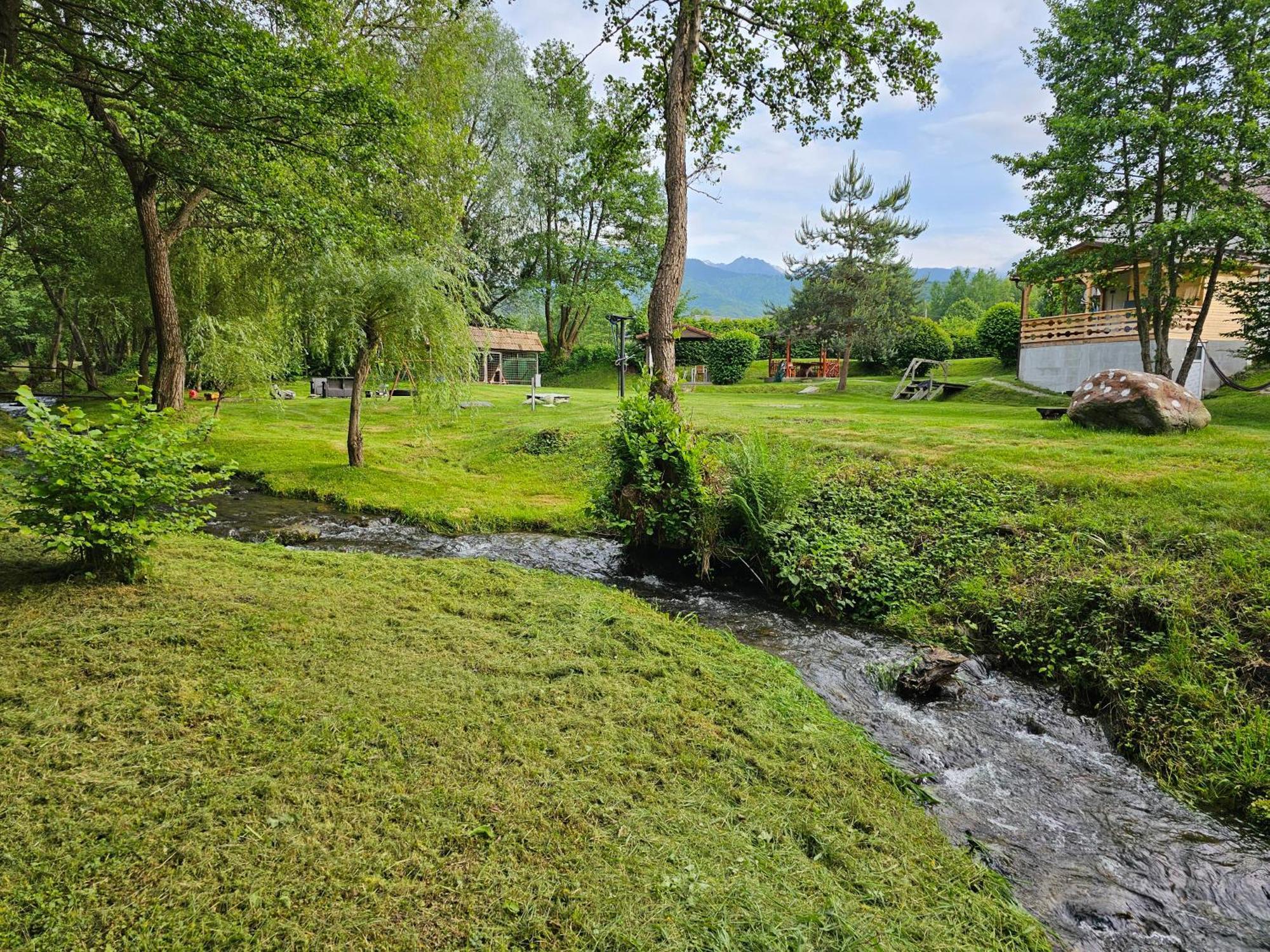 Casa De Vacanta Marin Arpasu de Sus Экстерьер фото