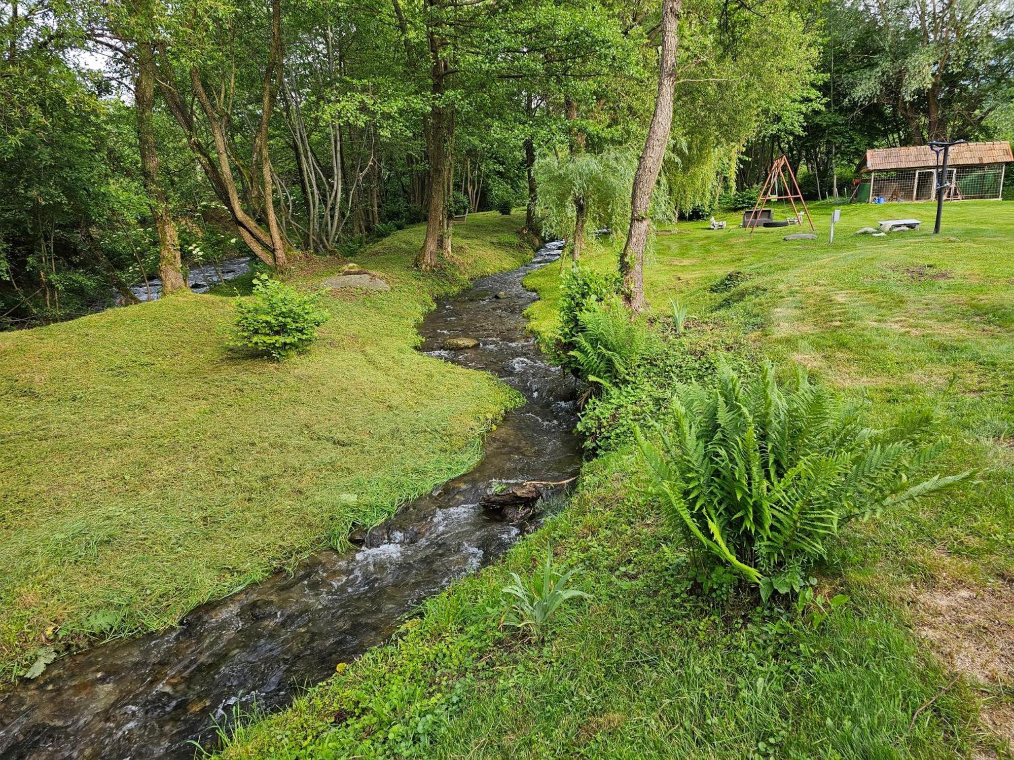 Casa De Vacanta Marin Arpasu de Sus Экстерьер фото