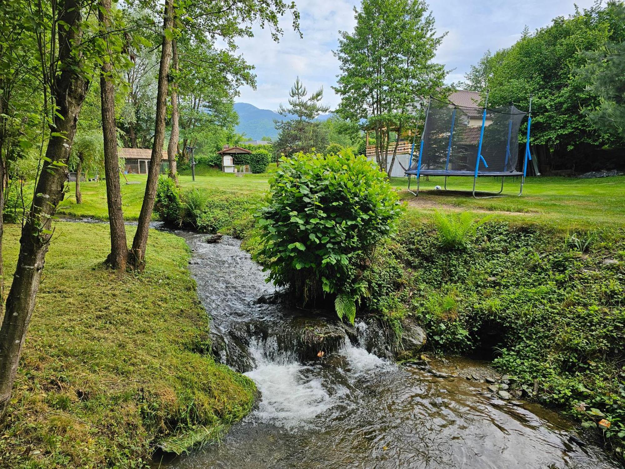 Casa De Vacanta Marin Arpasu de Sus Экстерьер фото