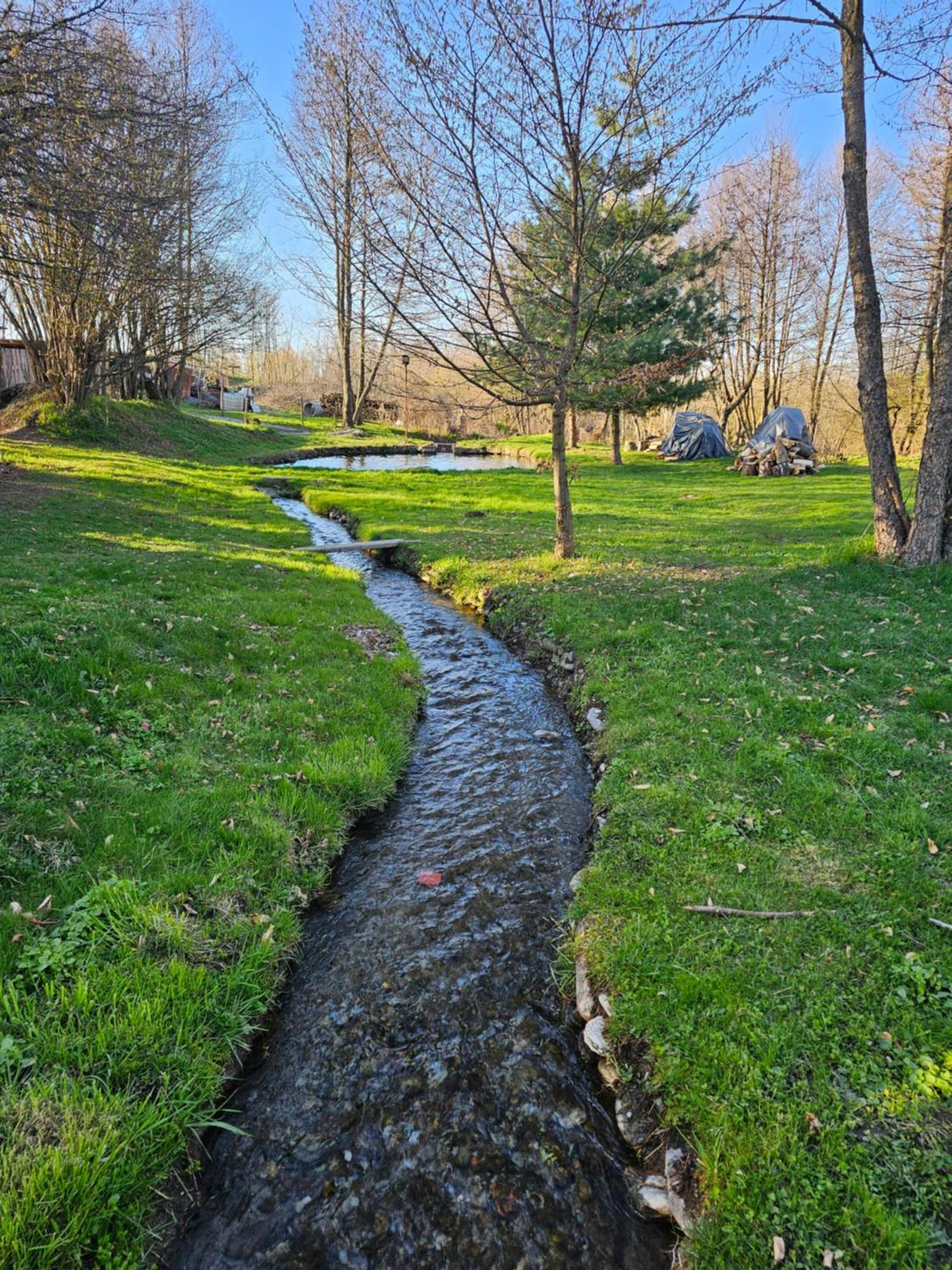 Casa De Vacanta Marin Arpasu de Sus Экстерьер фото