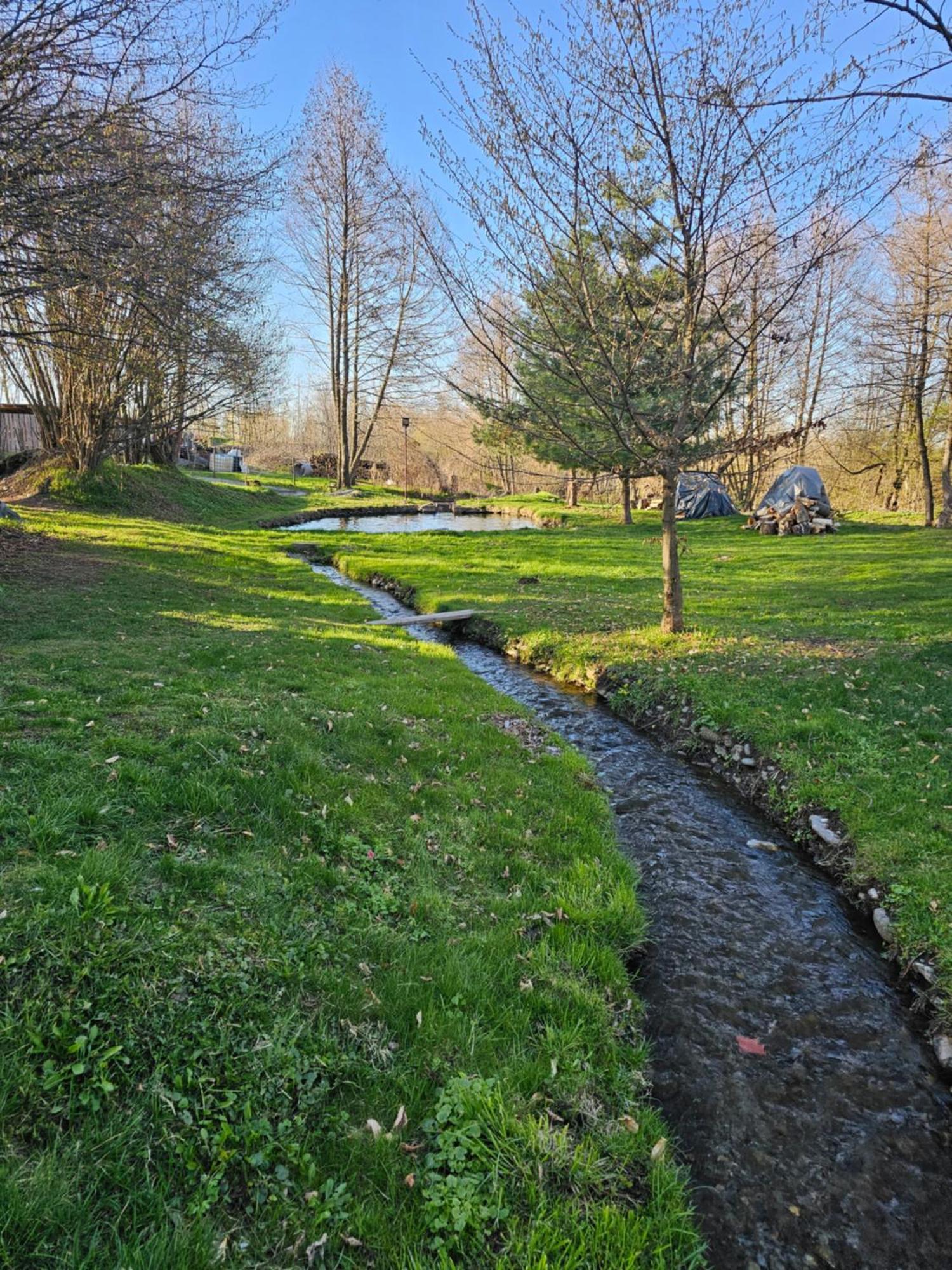 Casa De Vacanta Marin Arpasu de Sus Экстерьер фото